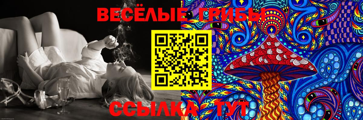 Галлюциногенные грибы Cubensis  Вход с VPN  Галлюциногенные грибы GOLDEN TEACHER  Нижний Тагил 