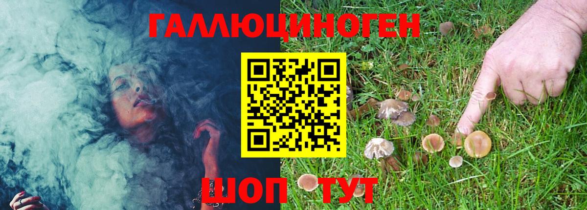 Псилоцибиновые грибы Cubensis Нижний Тагил